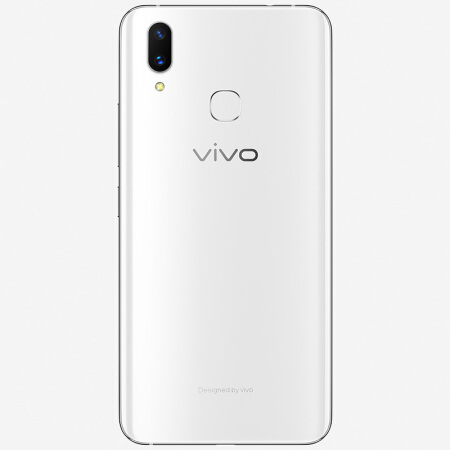 vivo9.jpg